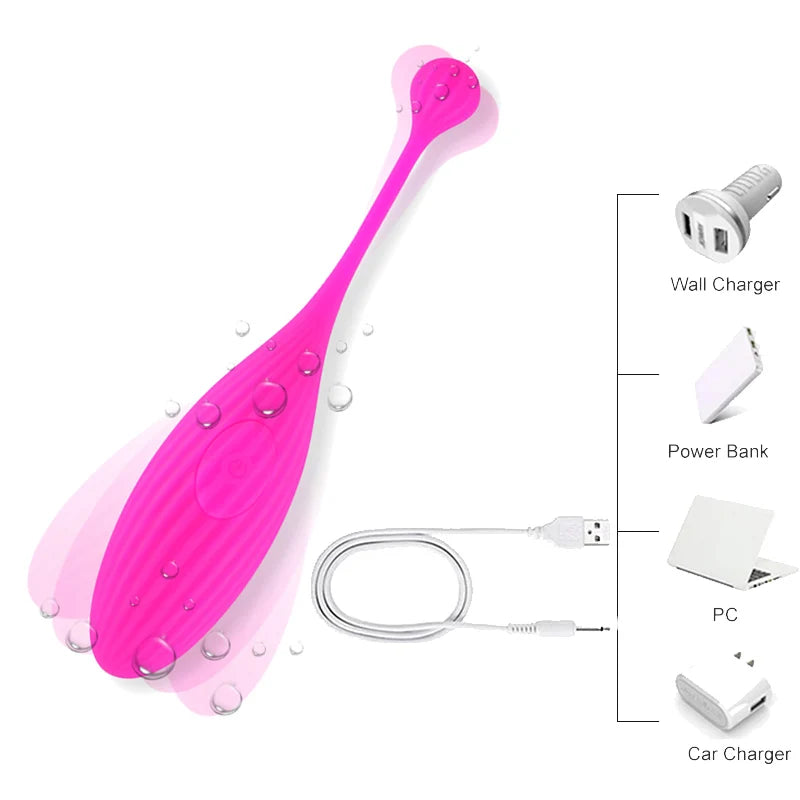 Pinksx Bluetooths Dildo Vibrator for Women Wireless APP Remote Control Jump Vibrating Egg Wifi Panties Toy for Sex Toys Couple