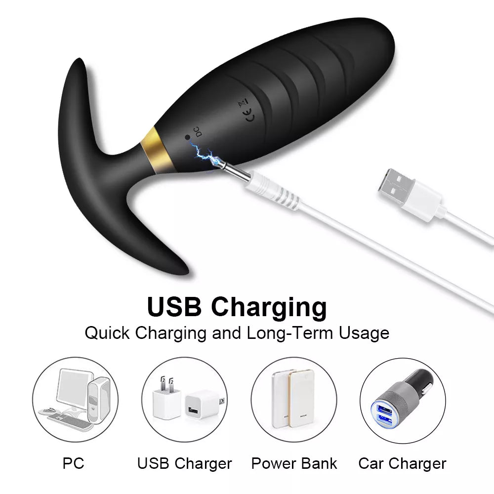 APP Remote Control Anal Plug.